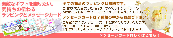 全ての商品のラッピングは無料です。メッセージカードは7種類の中からお選びください。