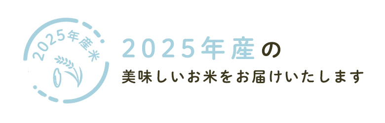 2025年米