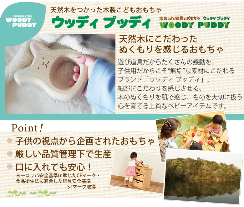 名入れ 出産祝い はじめてのおままごと（マイキッチン）（お名前プレート付き）