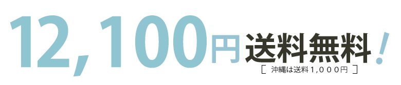 【1歳誕生日 名入れ】つみきのいえ(お名前入り) エド・インター NIHONシリーズ