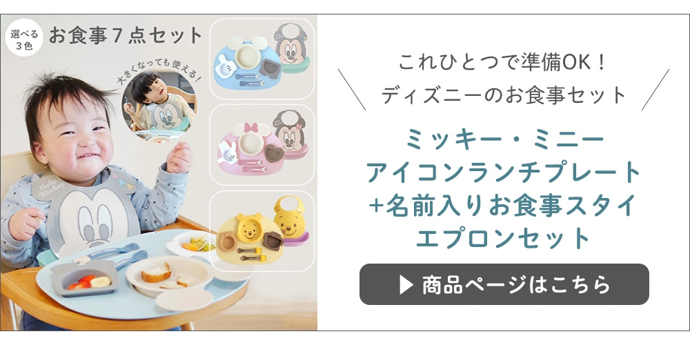 ミッキー・ミニー アイコンランチプレート+名前入りお食事スタイエプロンセット
