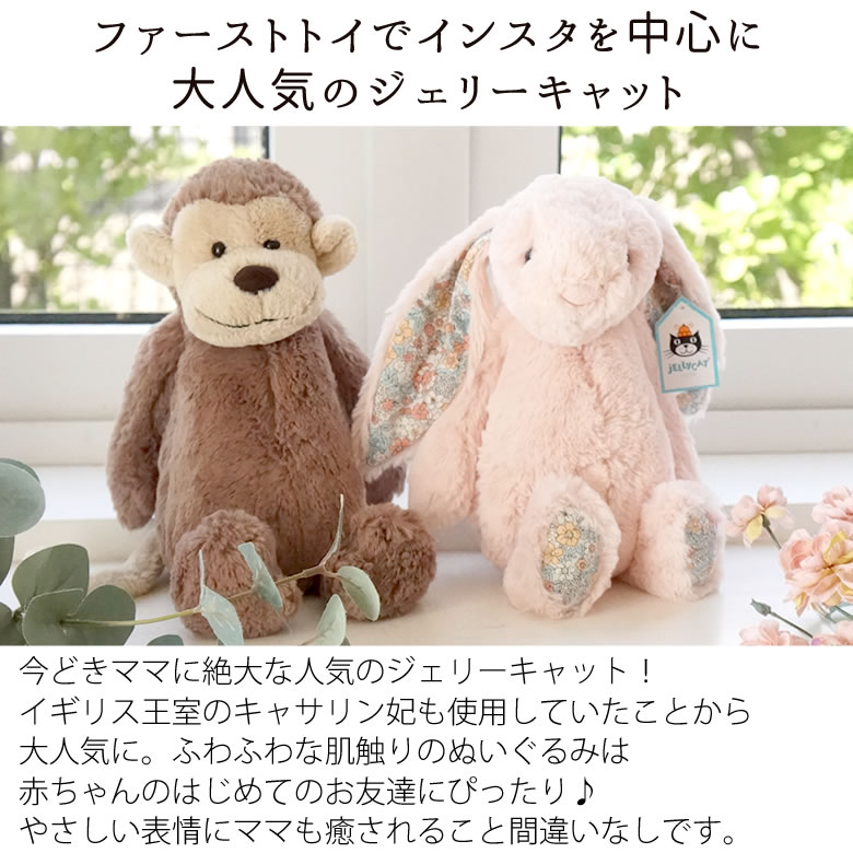 ファーストトイでインスタを中心に
大人気のジェリーキャット