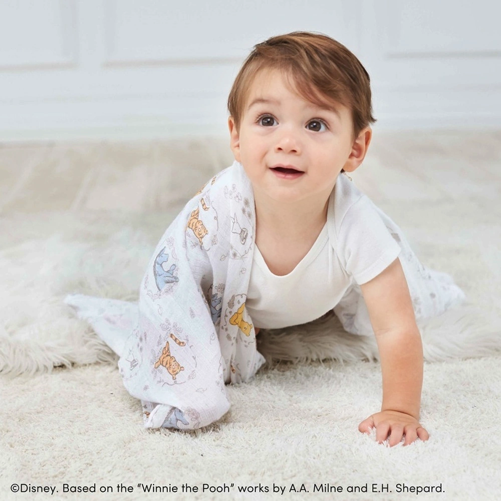 【出産祝い おくるみ】エイデンアンドアネイ ディズニーコレクション スワドル2枚入り