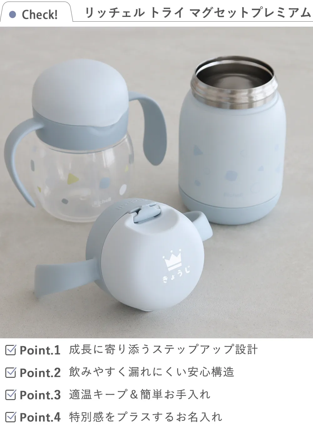リッチェル トライ マグセットプレミアム チェック項目