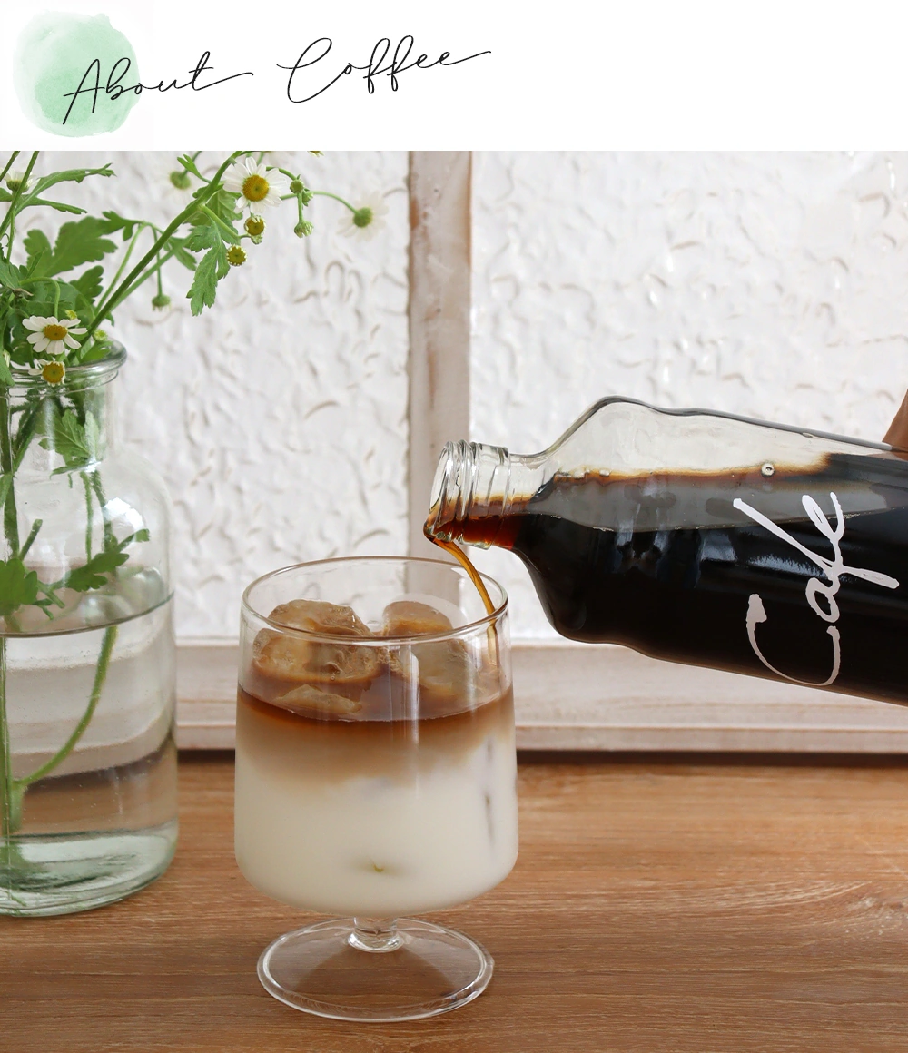 【Cafe Bellevie】ベルビー カフェオレベース(無糖)600ml 「エチオピア・ホワイトナイル＋ホンジュラス・ネリーヌネス」