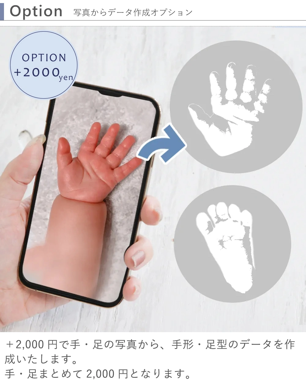 Option　写真からデータ作成オプション