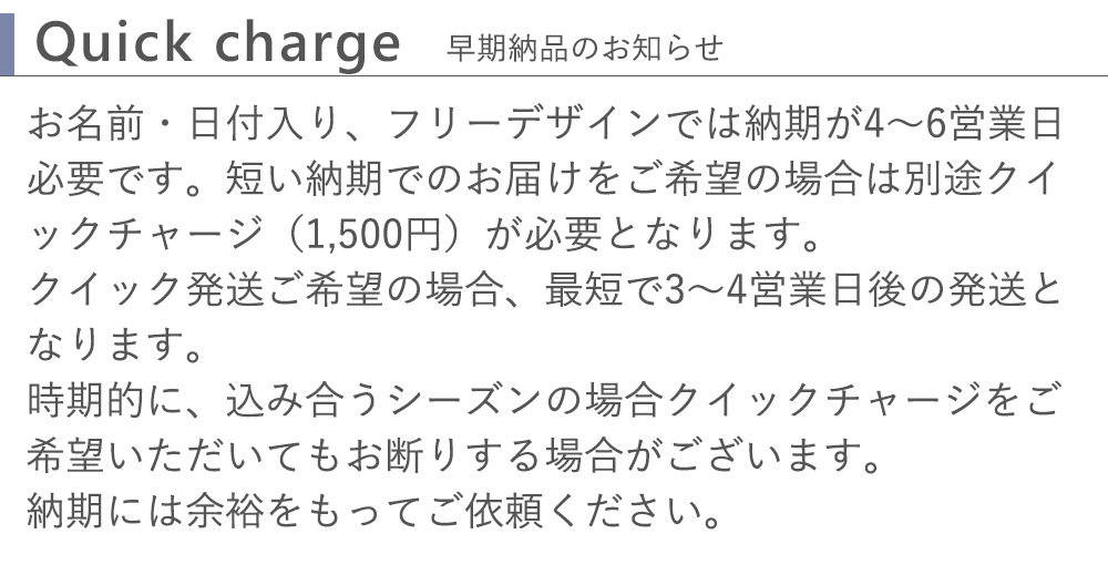 クイックチャージについて