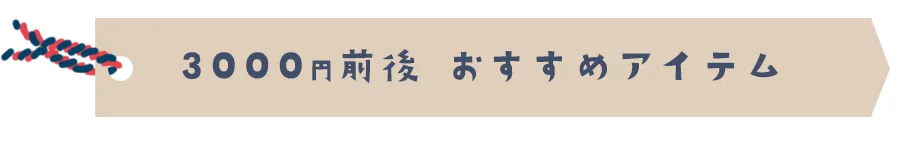 3000円前後おすすめアイテム