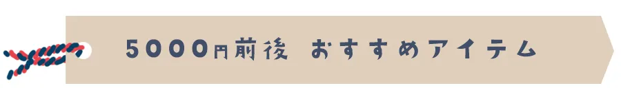 5000円前後おすすめアイテム